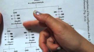 How to Memorize the Dfamily of aldoses to aldohexoses chart [upl. by Grania442]