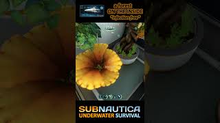 Subnautica Base Showoff Crag Field Indoor Arboretum live commentary gaming rpg subnautica [upl. by Iahc]