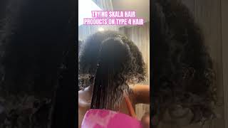 TRYING SKALA HAIR PRODUCTS ON TYPE 4 HAIR curlyhair skalabrasil washandgo type4hair [upl. by Emsmus]