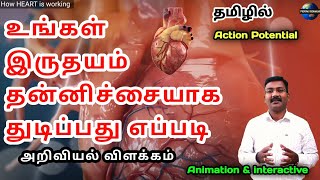 How heart is working in Tamil  science behind heart cells [upl. by Natal]