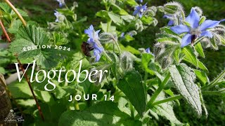 Vlogtober 2024 jour 14 [upl. by Nekial]