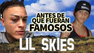 LIL SKIES  Antes De Que Fueran Famosos  RED ROSES  EN ESPAÑOL [upl. by Adnylg]