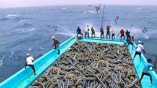 ¡Barco Pesquero Descubre Algo Terrible En El Mar Que Conmociona Al Mundo Entero [upl. by Terencio]