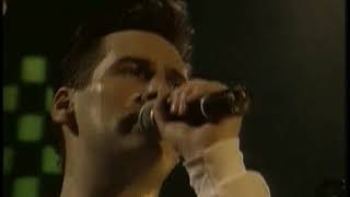 Spandau Ballet  Gold Live [upl. by Sharp]