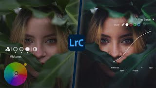 Color Grading in Lightroom like a PRO Colorist [upl. by Werner]