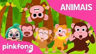 Macaquinho Bananas  Canções de Animais  Pinkfong Canções para Crianças [upl. by Siward]