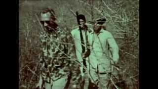 Rare Footage Tiger Hunting with Recurve Bow From The Fred Bear Archive [upl. by Reece]