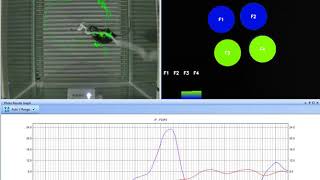 CineLyzer with Photometry Demo [upl. by Seiden]