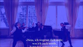 Charlie Chaplin Limelight Music Theme  Chursächsische Cafémusik Bad Elster [upl. by Catha]