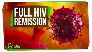 The SecondEver Case of Full HIV Remission  SciShow News [upl. by Artinahs]