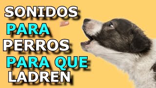 Sonido de Perro 🐶 🐶 Los mejores LADRIDOS DE PERROS 🐶 [upl. by Aciretahs]