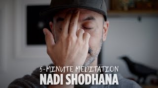 5Minute Alternate Nostril Breathing Meditation  Nadi Shodhana Pranayama [upl. by Ernaline]