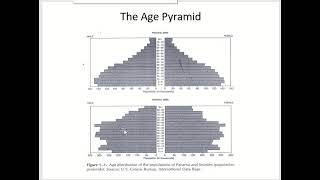 Measures of mortality and Morbidity Indicators part 2 [upl. by Conner]