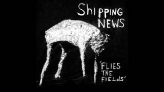 Shipping News  Flies The Fields [upl. by Devehcoy920]