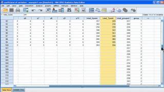 Coefficient of variation  SPSS part 2 [upl. by Eissen]