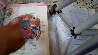 RENAL PATHOLOGY lecture 1 general introduction must watch to grab easily [upl. by Madella]