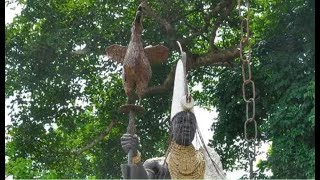 El secreto sagrado del Gallo en la religión Yoruba Por eso no se puede sacrificar a los Orishas [upl. by Neelloc287]