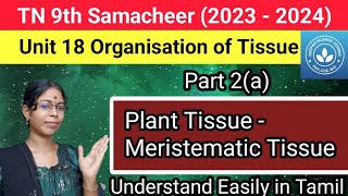 Plant Tissue  Meristematic Tissue Class 9 Science Term 1 Unit 18 Organisation of Tissue [upl. by Lorimer877]