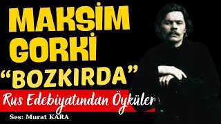 Maksim Gorki quotBozkırdaquot Rus Edebiyatından Sesli Kitaplar [upl. by Ruddie]