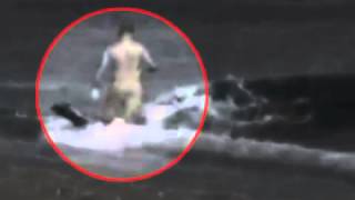 Killer Whale Attacks Man On Beach  WARNING Graphic [upl. by Kciwdahc]