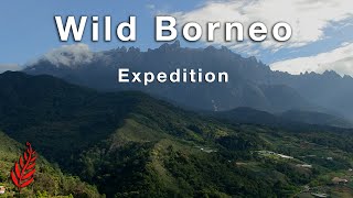 Wild Borneo Expedition [upl. by Anastasio]