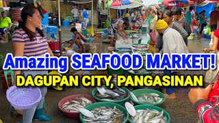 BIGGEST Seafood Market of Pangasinan  DAGUPAN FISH MARKET  PALENGKE  DECEMBER TOUR  PHILIPPINES [upl. by Nivrehs]