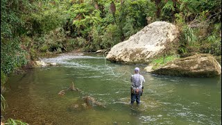 Incredible Fly Fishing for BIG Rainbow Trout in a Stunning River [upl. by Bascio]