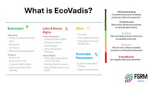 What is EcoVadis [upl. by Aibar479]