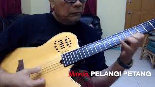 PELANGI PETANG  MMN AKUSTIK COVER [upl. by Kaila]