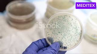 How to perform BET test  Bacterial endotoxin test  LAL test [upl. by Elisabet530]