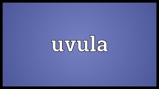 Uvula Meaning [upl. by Akenehs180]