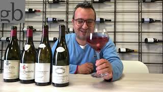 La genialità dei vini Gevrey Chambertin [upl. by Corbin23]