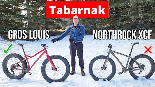 Gros Louis 3 Fatbike vs Northrock XCF Fat Bike Review [upl. by Benildas]