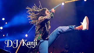 Reggae Joint 2017 Official Dj Kanji Mix [upl. by Reisinger142]