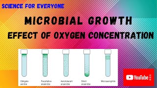 Effect of Oxygen Over Microbial Growth  Detailed Explanations  Reasons [upl. by Jecoa763]