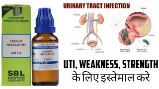 Conium Maculatum 200C Benefits Uses Side effects Review in Hindi  Review Remedy [upl. by Neerol75]