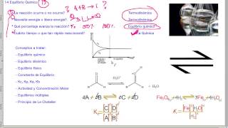 Introducción a Equilibrio Químico  QB295 [upl. by Randie]
