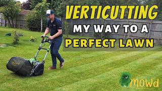 VERTICUTTING  my way to a perfect lawn [upl. by Odnarb]