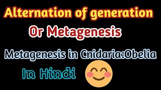 What is Alternation of generation in cnidariaMetagenesis in CnidariaMetagenesis in hindi Obelia [upl. by Corella]