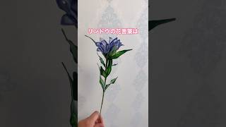 リンドウの花言葉はshorts ハンドメイド flowers art [upl. by Mattie]