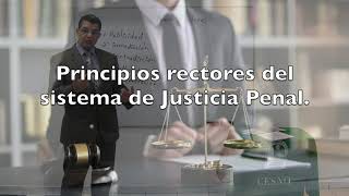 Principios rectores del sistema de justicia penal [upl. by Yenrab3]