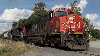 SD70ACE 8101 CN M314 at Port Bolster mile 5963 on the Canadian national bala sub 9222024 [upl. by Laven]