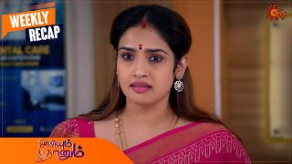 Abiyum Naanum  Weekly Recap  20 Feb 2023  25 Feb 2023  Tamil Serial  Sun TV [upl. by Bashemath453]