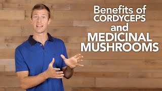 Benefits of Cordyceps and Medicinal Mushrooms [upl. by Stesha]