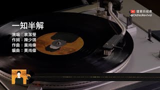 袁潔瑩 Fennie Yuen–一知半解 1994【動態歌詞 Lyrics】♫ [upl. by Aennyl]