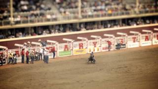 This could be your view at the Calgary Stampede Rodeo [upl. by Nennahs]