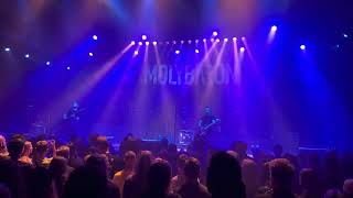 Molybaron Animals Live in Warsaw  Progresja 20230924 [upl. by Julia]