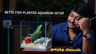 Betta Fish Planted Aquarium Setup  Betta Fish Plant Tank Setup  Cloning Aqua Pets [upl. by Otipaga]