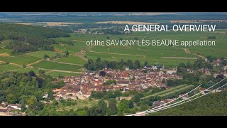 A general owerview of the SavignylèsBeaune appellation [upl. by Lahcim591]