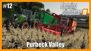 MAKING MONEY WITH POTATO HARVEST  Purbeck Valley Farm  Farming Simulator 19  FS19  Episode 12 [upl. by Oirram]